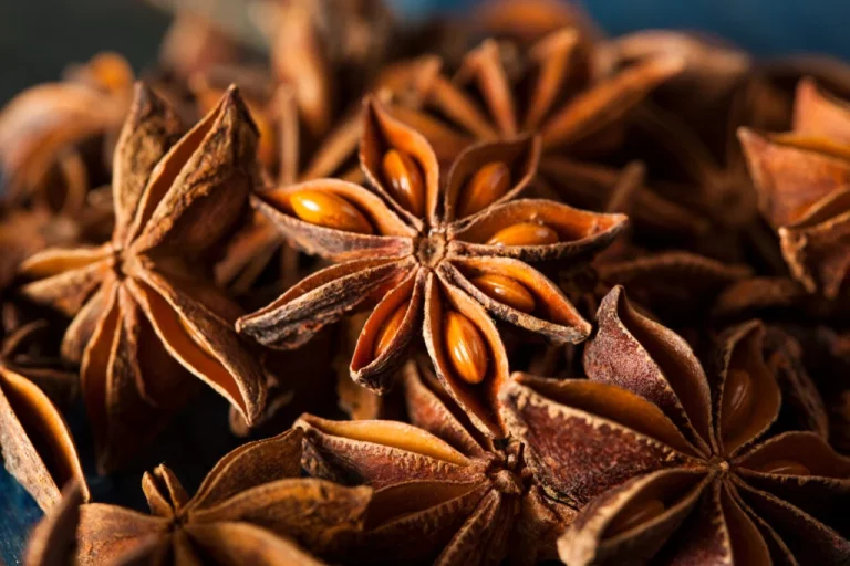 Amazing Health Advantage Of Star Anise