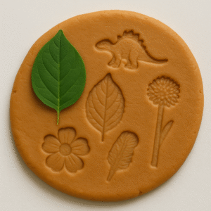 Play-Dough Nature Imprints