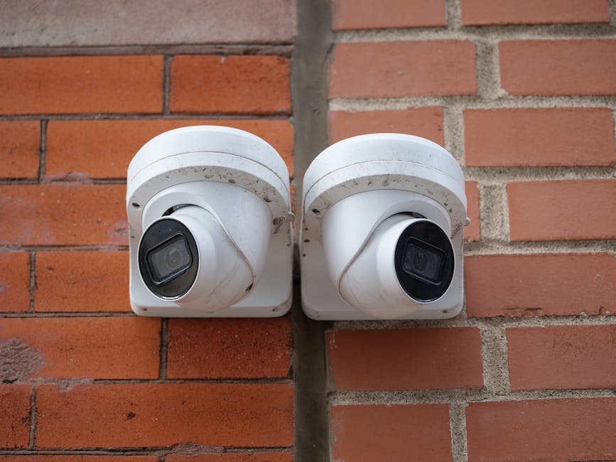 The Rise of AI Image Detectors: Transforming Visual Content Analysis