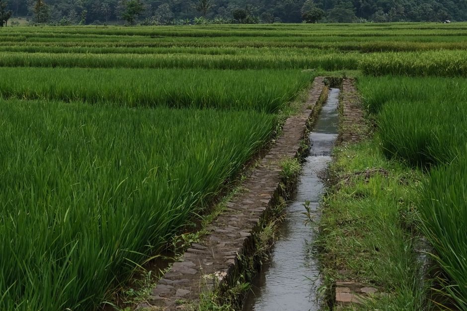 irrigation system