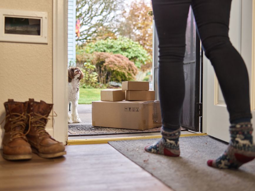 The Rising Trend of Raw Dog Food Delivery Services