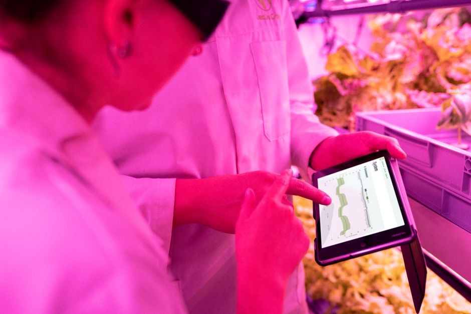 Revolutionizing Agriculture: The Rise of Vertical Farming Technology