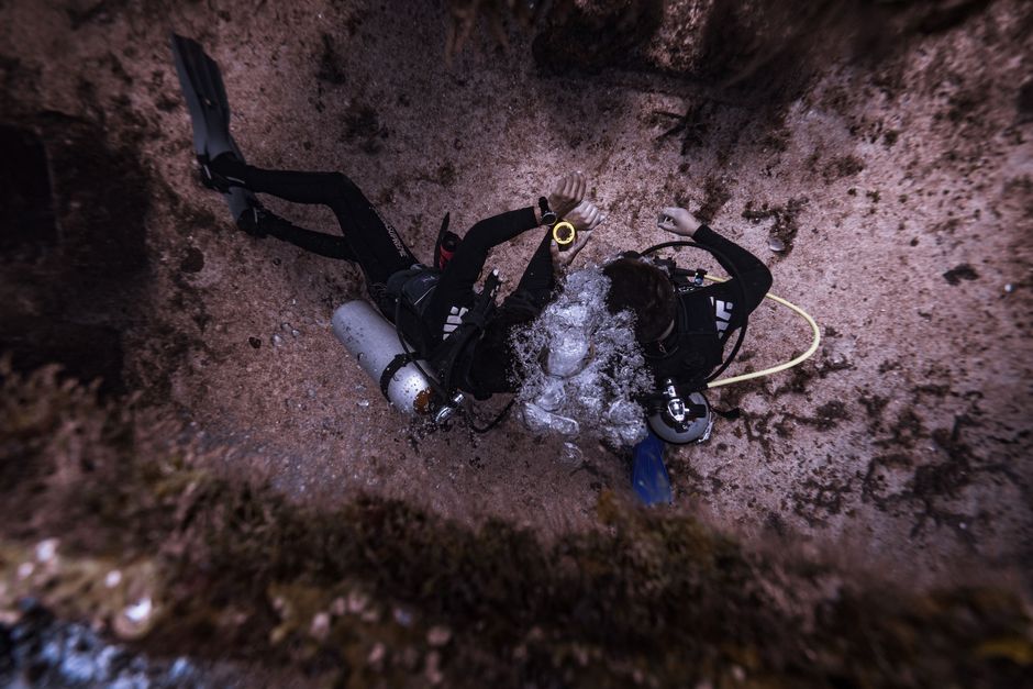 Conviértete en un experto en buceo con la certificación adecuada